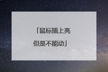 鼠标插上亮但是不能动