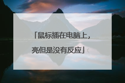 鼠标插在电脑上,亮但是没有反应