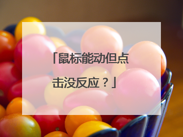 鼠标能动但点击没反应?