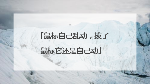 鼠标自己乱动，拔了鼠标它还是自己动