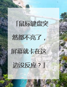 鼠标键盘突然都不亮了,屏幕就卡在这边没反应?