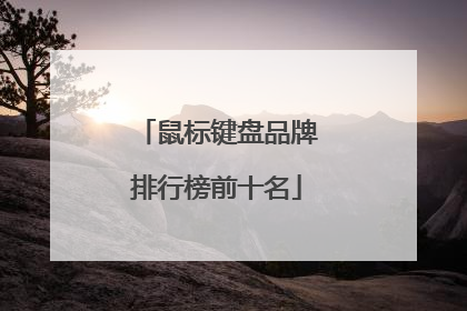 鼠标键盘品牌排行榜前十名