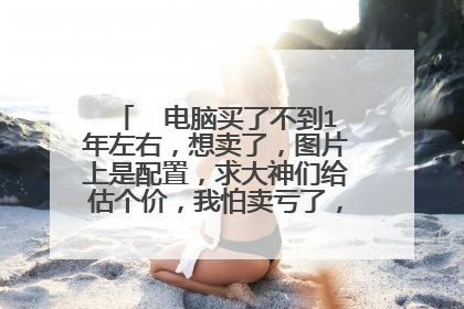  电脑买了不到1年左右,想卖了,图片上是配置,求大神们给估个价,我怕卖亏了,谢谢了????