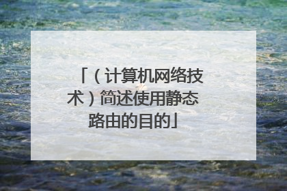 (计算机网络技术)简述使用静态路由的目的