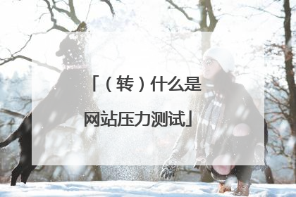 （转）什么是网站压力测试