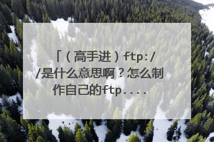 （高手进）ftp://是什么意思啊？怎么制作自己的ftp...........
