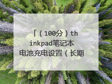 (100分)thinkpad笔记本电池充电设置(长期使用交流电