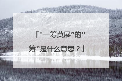 '一筹莫展”的“筹”是什么意思？