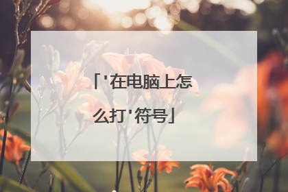 '在电脑上怎么打'符号