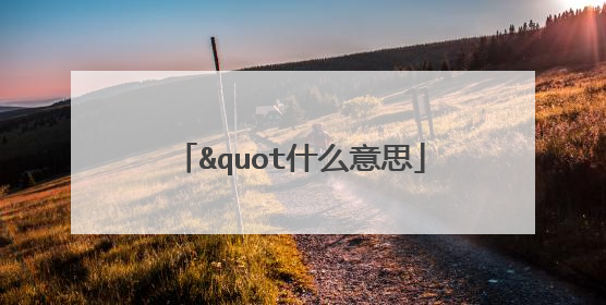 "什么意思