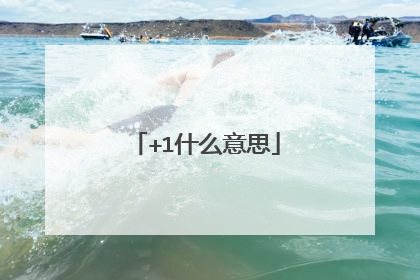 +1什么意思