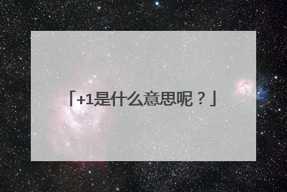+1是什么意思呢？