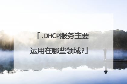 .DHCP服务主要运用在哪些领域?