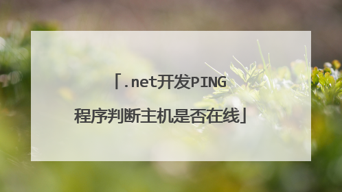 .net开发PING程序判断主机是否在线