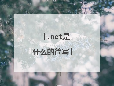 .net是什么的简写