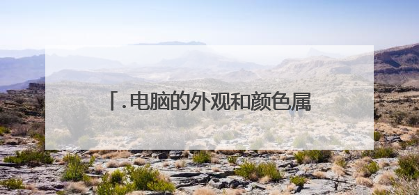 .电脑的外观和颜色属于电脑的象征性绩效。