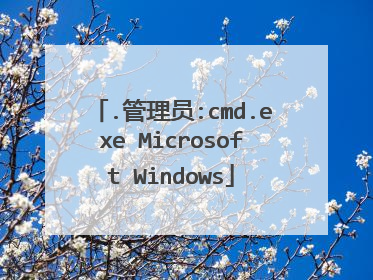 .管理员:cmd.exe Microsoft Windows