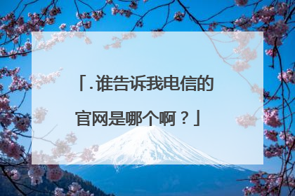 .谁告诉我电信的官网是哪个啊?