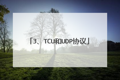 3、TCU和UDP协议