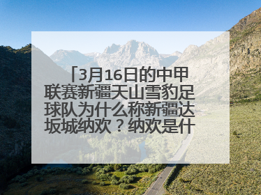 3月16日的中甲联赛新疆天山雪豹足球队为什么称新疆达坂城纳欢？纳欢是什么意思？