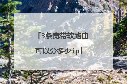 3条宽带软路由可以分多少ip