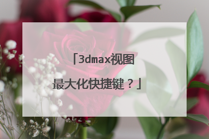 3dmax视图最大化快捷键？