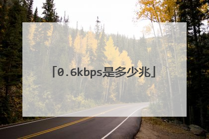 0.6kbps是多少兆