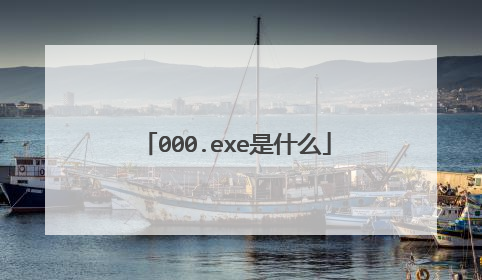 000.exe是什么