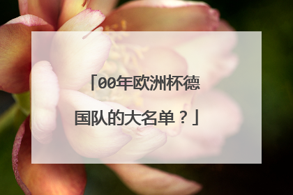 00年欧洲杯德国队的大名单？