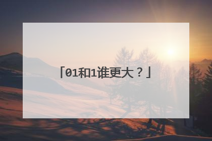 01和1谁更大?