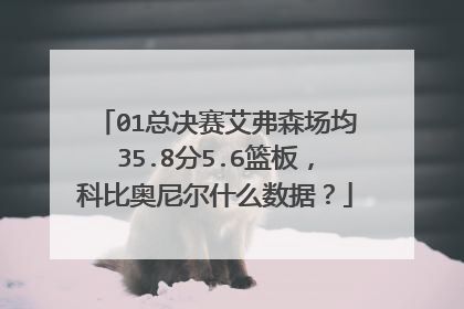 01总决赛艾弗森场均35.8分5.6篮板,科比奥尼尔什么数据?