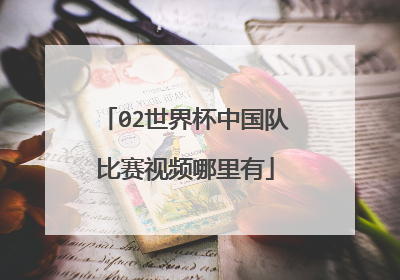 02世界杯中国队比赛视频哪里有
