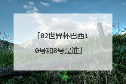02世界杯巴西10号和8号是谁