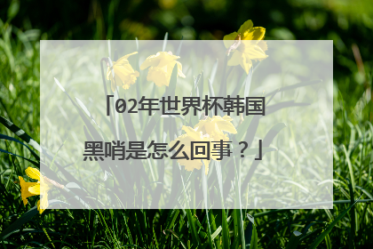 02年世界杯韩国黑哨是怎么回事？