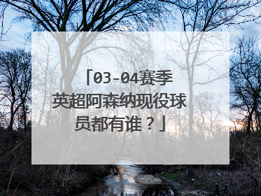 03-04赛季英超阿森纳现役球员都有谁？