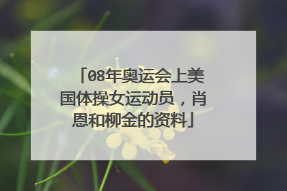 08年奥运会上美国体操女运动员，肖恩和柳金的资料