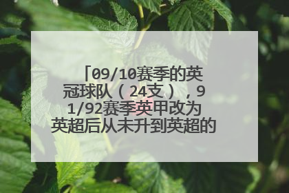 09/10赛季的英冠球队(24支),91/92赛季英甲改为英超后从未升到英超的有哪些球队?