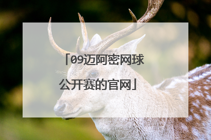 09迈阿密网球公开赛的官网