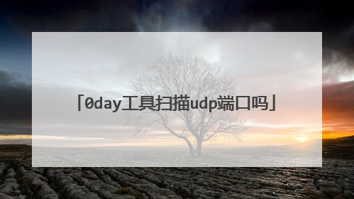 0day工具扫描udp端口吗