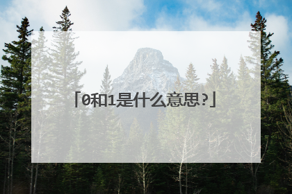 0和1是什么意思?