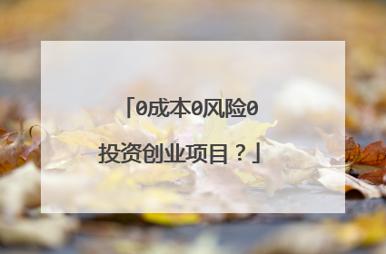 0成本0风险0投资创业项目?