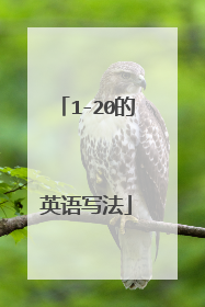 1-20的英语写法