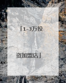 1-3万投资加盟店