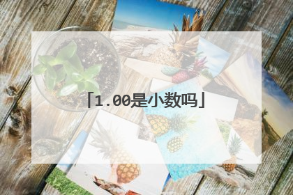 1.00是小数吗