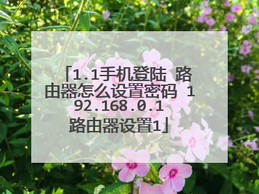 1.1手机登陆 路由器怎么设置密码 192.168.0.1路由器设置1