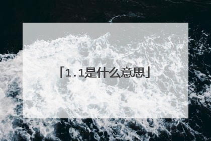1.1是什么意思