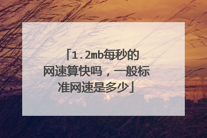 1.2mb每秒的网速算快吗，一般标准网速是多少