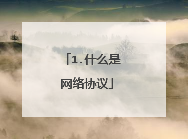 1.什么是网络协议