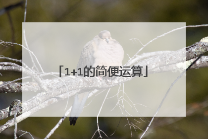 1+1的简便运算