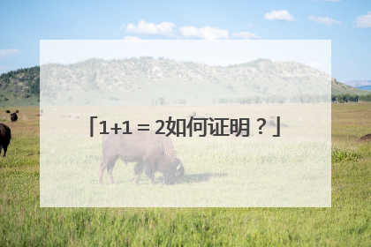1+1＝2如何证明？